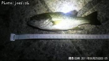 ¥Ö¥é¥Ã¥¯¥Ð¥¹