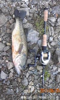 ¥Ö¥é¥Ã¥¯¥Ð¥¹