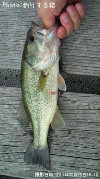 ¥Ö¥é¥Ã¥¯¥Ð¥¹