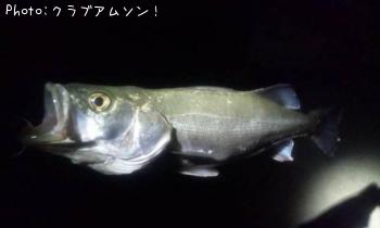 �����Х�