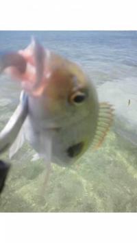 �ޥȥե��ե�����