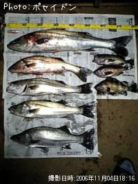 �����Х�