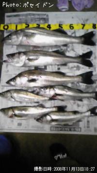 �����Х�