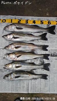 �����Х�