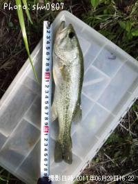 �֥�å��Х�