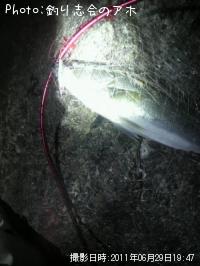 �����Х�