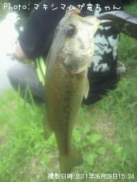 ¥Ö¥é¥Ã¥¯¥Ð¥¹