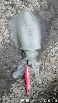 �����ꥤ��