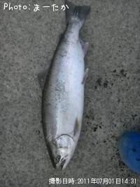 ¥µ¥¯¥é¥Þ¥¹