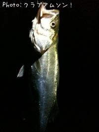 �����Х�