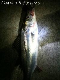 �����Х�