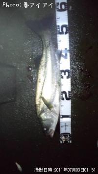 �����Х�