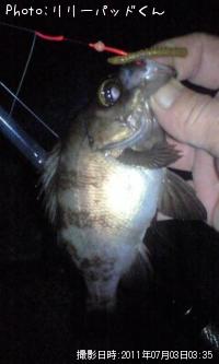 �ʤ�����Х����