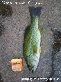 �֥�å��Х�