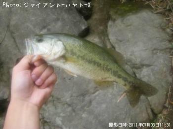 �֥�å��Х�