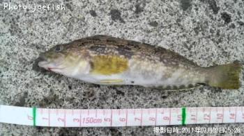 �����ʥ�