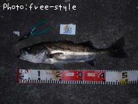 �����Х�