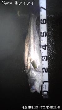 �����Х�