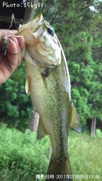 �֥�å��Х�