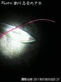 �����Х�