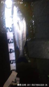 �����Х�