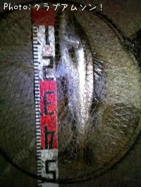 �����Х�