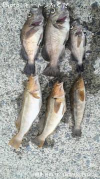 �����ʥ�ȥ�Х�