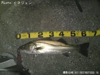 �����Х�