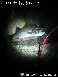 �����Х�