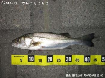 �����Х�