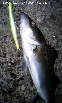 �����Х�