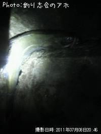 �����Х�