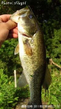 �֥�å��Х�