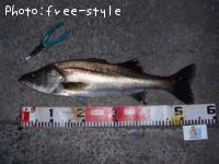 �����Х�