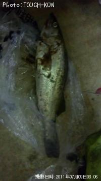 �����Х�