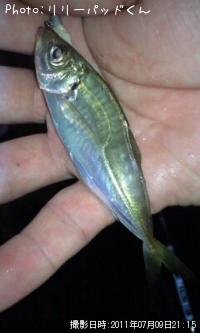 ���¡����¤¤���