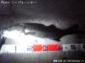 �����Х�