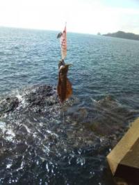 ¥¢¥ª¥ê¥¤¥«