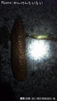 ¥Ê¥Þ¥³¥ó¥°