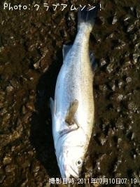 �����Х�