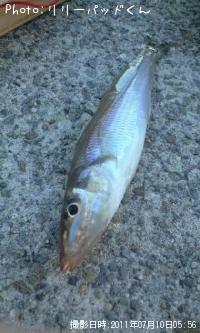 ��ҤȤΥե������ȡ��������ʾС�