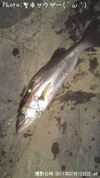 �����Х�