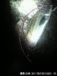 �����Х�