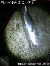 �����Х�