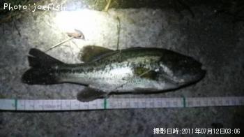 �֥�å��Х�