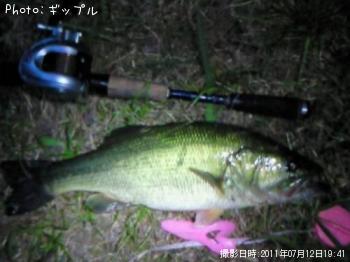 �֥�å��Х�