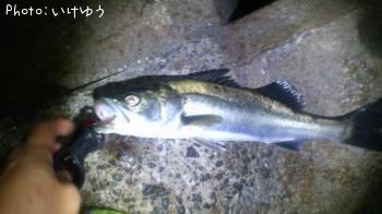 �����Х�