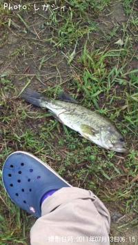 �֥�å��Х�