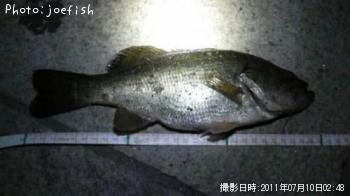 �֥�å��Х�