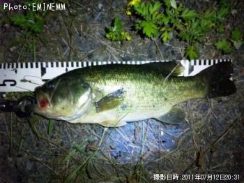 �֥�å��Х�